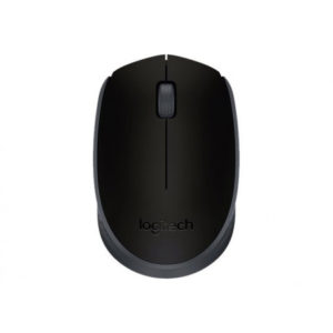 Souris Logitech M171